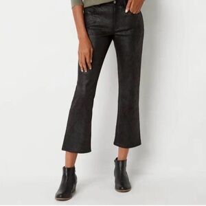 FRYE AND CO. Black Women Jeans Size 12 length 36.5in